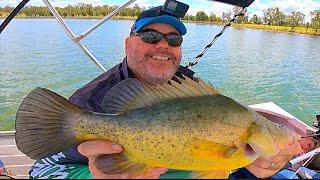 Yellowbelly and Australian Bass Fishing