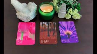 **pick a card** THEIR CURRENT THOUGHTS AND FEELINGS FOR YOU