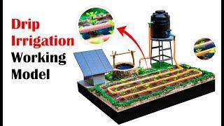 Drip irrigation watering methods model