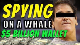 What I Learned From Spying On A $5 BILLION DOLLAR WHALE WALLET (SCARY) CRYPTO Whale Watching!