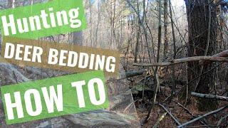 EASY Way to Hunt INSIDE Deer Bedding Areas. HOW TO