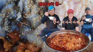 양푼에 담은 속이 다 시원해지는 물회 Cold Raw Fish Soup MUKBANG ASMR REALSOUND EATINGSHOW