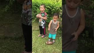 อร่อยแต่ก็เสียดายมากลูกเอ้ย #น่ารัก #เอ็นดูน้อง #shorts #funny #boy #คนดัง #มาแรง #ขออนุญาตโพสต์