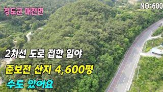 청도 임야(600) 낮은 야산 준보전산지 도로접한야산 마사토산 소나무가득#청도부동산매물#청도토지#청도부동산#청도전원주택#청도촌집#청도농막