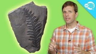 How Carbon Dating Works