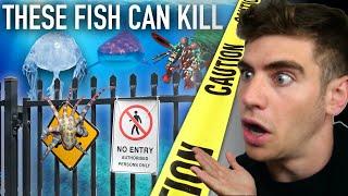 Enter the DEADLIEST Aquarium in the World... (most venomous fish) ️