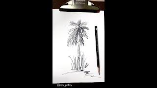 풍경스케치 야자수그리기 pencil drawing palm tree #shorts