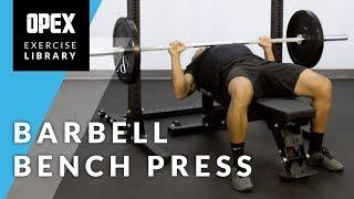 Barbell Bench Press - OPEX Exercise Library