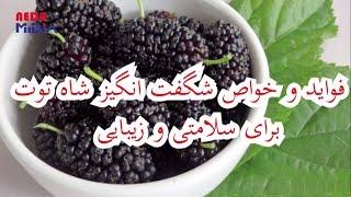 فواید و خواص شگفت انگیز شاه توت برای سلامتی و زیبایی جلد.