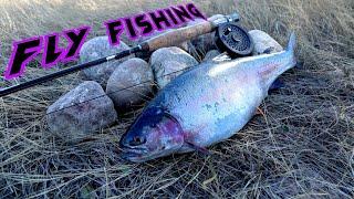 Fly Fishing HUGE RAINBOW Trout!! Saskatchewan INSANE BIG TROUT!