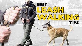 The Best Leash Walking Tips