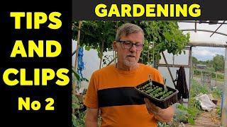 Tips and Clips | Garden Hacks | Useful Tips | Number 2 | Green Side Up