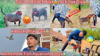 Homemade Fish Aquarium Bnaya||Coco Pregnant Or Not ? Coco N Bhagat K Dost Ko Pakad LeaLock LgaDea