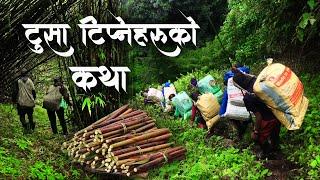 टुसा टिप्नेहरुको कथा - Documentary || A Story of Himalayan Bamboo Shoots