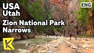 【K】USA Travel-Utah[미국 여행-유타]자이언 국립공원, 강물을 걷는 내로우스/Zion National Park/Narrows/River/Walking