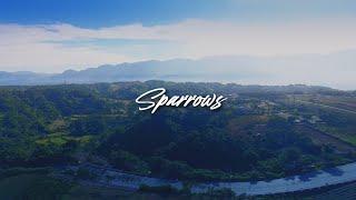 Cory Asbury - Sparrows (Lyric Video)