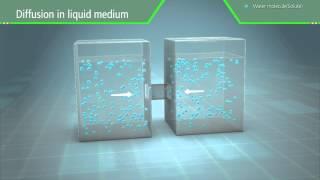 3D Scientific Animation - Diffusion and Osmosis