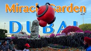 Dubai's Miracle Garden | A Cinematic Journey in 2025  | Travel Video | Travel Guide | SKY Travel