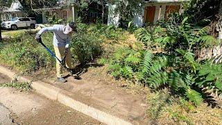 The city REFUSED to mow their own grass