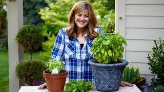 How to Prune Basil