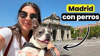 Madrid con perros es fantástica!! 24hs con Emma (4K)