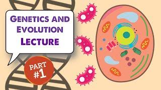 MCAT Biology Lecture: Genetics and Evolution (1/2)