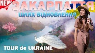 ЗАКАРПАТТЯ квітуче | місця сили | шукаємо ретрит та печерні скарби у горах, пізнаємо мультикультуру