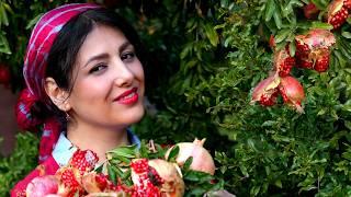 Autumn Routine Life of a Country Woman‍Cooking Pomegranate Chicken Kebab| Slow Village Life Iran