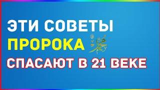 ТОП 10 МУДРЫХ СОВЕТОВ ПРОРОКА ДЛЯ 21 ВЕКА | ПОСЛАНИЕ ПРОРОКА В 21 ВЕК | ХАДИСЫ ПРОРОКА