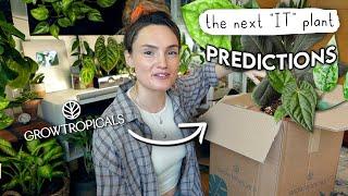 Unboxing The Next "IT" Plants!  Grow Tropicals Haul + 2025 Plant Predictions