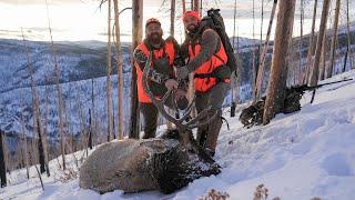 Hunting Late Season OTC BULL ELK in the SNOW | 4K HUSH VLOG