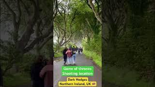 #darkhedges in #northernireland #uk  #beautifulnature #gameofthrones   #shootinglocation