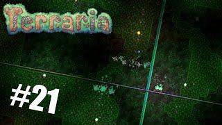 Terraria - Черепашья броня и мини платформа # 21