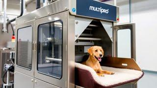 Revolutionize Dog Bed Packaging with the Multipro Dog Vacuum Packing Machine | MultiproMachines