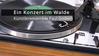 +++ Ein Konzert im Walde +++ historische Grammophonplatte Paul Godwin Ensemble 78er Platte