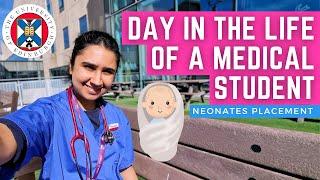 Day in the Life of a Medical Student on Neonates Placement | Dumfries and Galloway