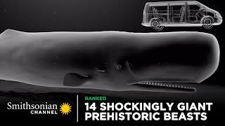 14 Shockingly Giant Prehistoric Beasts  Smithsonian Channel