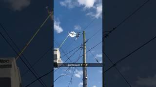 I haven’t met a good trip saver yet #electricity #electrical