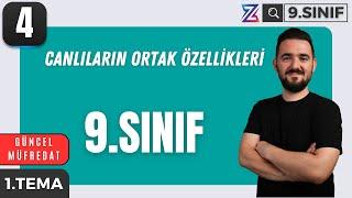 9. SINIF BİYOLOJİ YENİ MÜFREDAT | CANLILARIN ORTAK ÖZELLİKLERİ | MAARİF MODELİ | 4. DERS