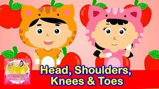 Head, Shoulders, Knees & Toes | Exercise Song For Kids เพลงเด็กภาษาอังกฤษ