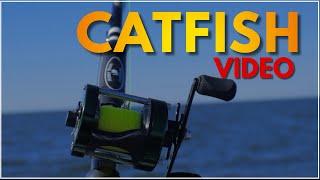 CATFISH VIDEO | THIS IS A CATFISH VIDEO