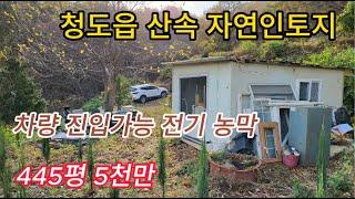 청도읍 산속 농지매매 월곡리 청정지역 나는 자연인 1470㎡445PY 5천만 [No.40816]