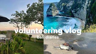 volunteering vlog || Schildkröten-Projekt auf Bali & die Insel erkunden