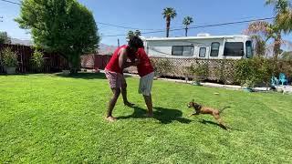 Adding Kicks to Push Hands (Tuishou) | Coach Jan's Tai Chi