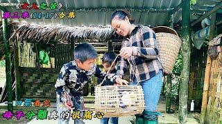 一口氣看完，母子分離真的很痛心《女人之苦》第三季（14-17）合集