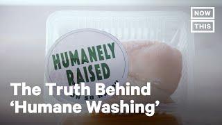 How the Meat Industry Uses ‘Humane Washing’ Terms