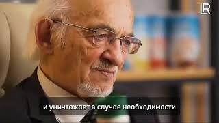 Гриб Рейши. Лечебные свойства. Противоопухолевое действие. Показания к применению. ЛР. LR