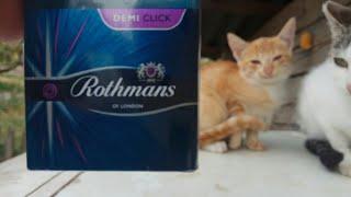 Пробуем Rothmans Demi Click капсула