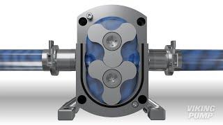 How do rotary lobe pumps work?