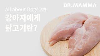 강아지 관절과 회복에 도움을 주는 닭고기 ( 강아지 자연식을 위한 식재료 ) ㅣ 닥터맘마 수의사팀